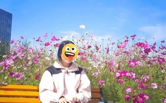 国内一卡二卡三2020视频